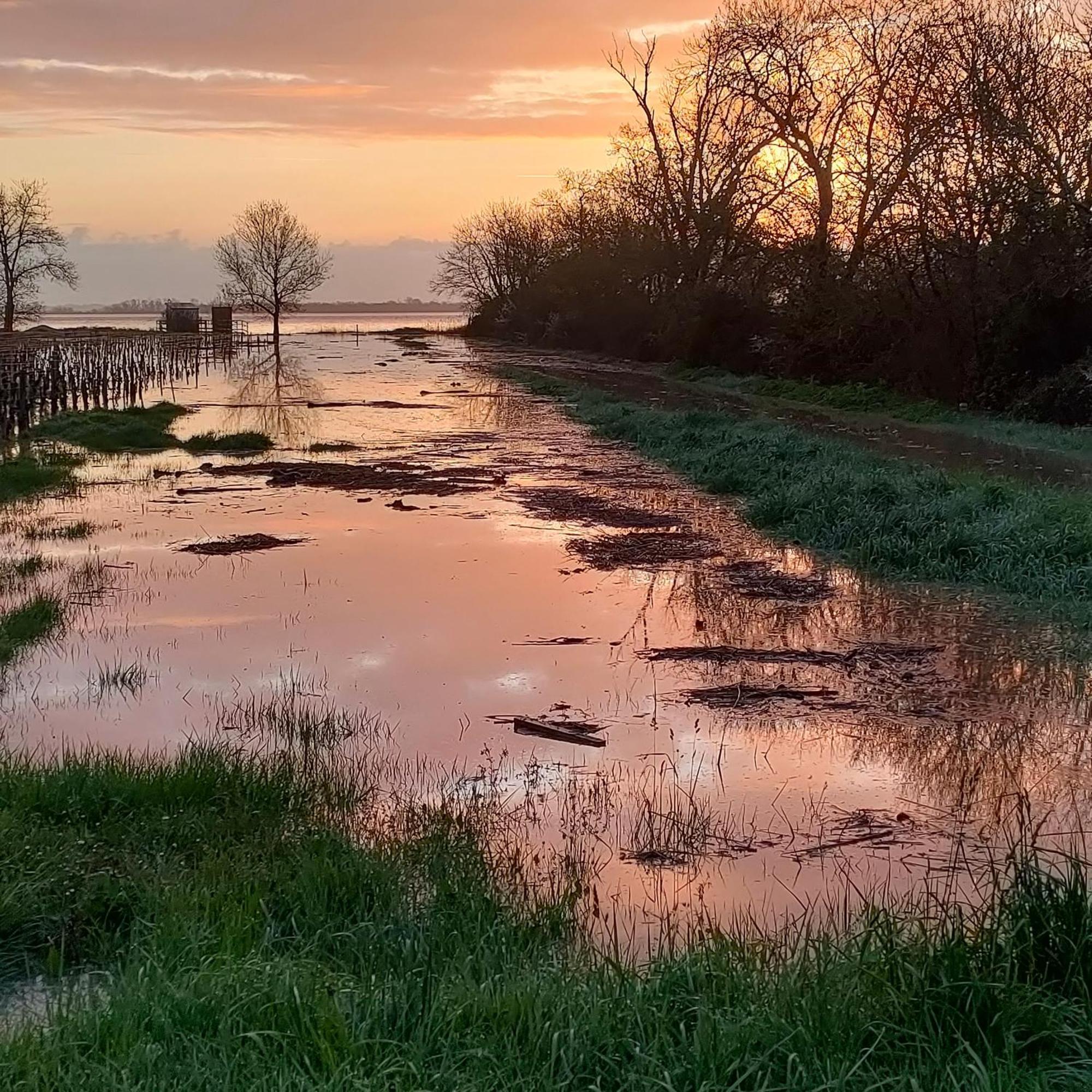 波亚克Casa Tranquila Cerca El Estuario别墅 外观 照片